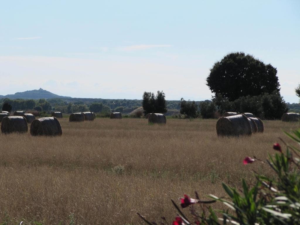 Azienda Agrituristica Allumiere Campiglia Marittima Exterior foto