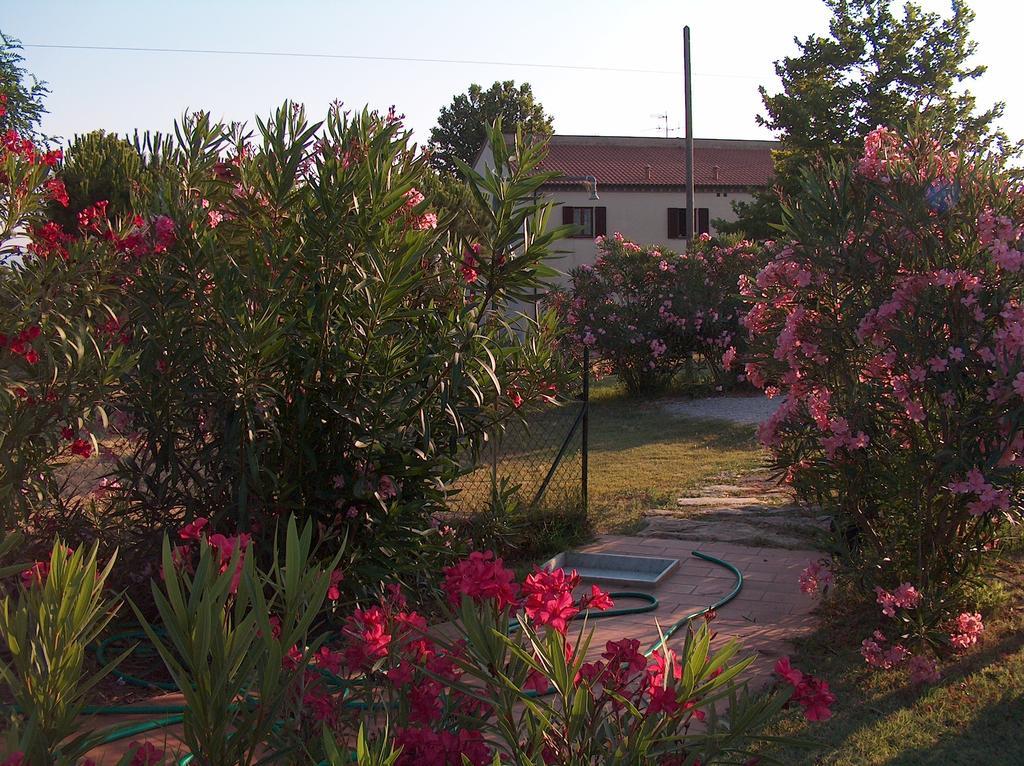 Azienda Agrituristica Allumiere Campiglia Marittima Exterior foto